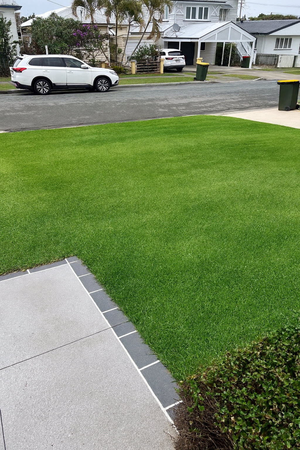 After: BioPrime lawn