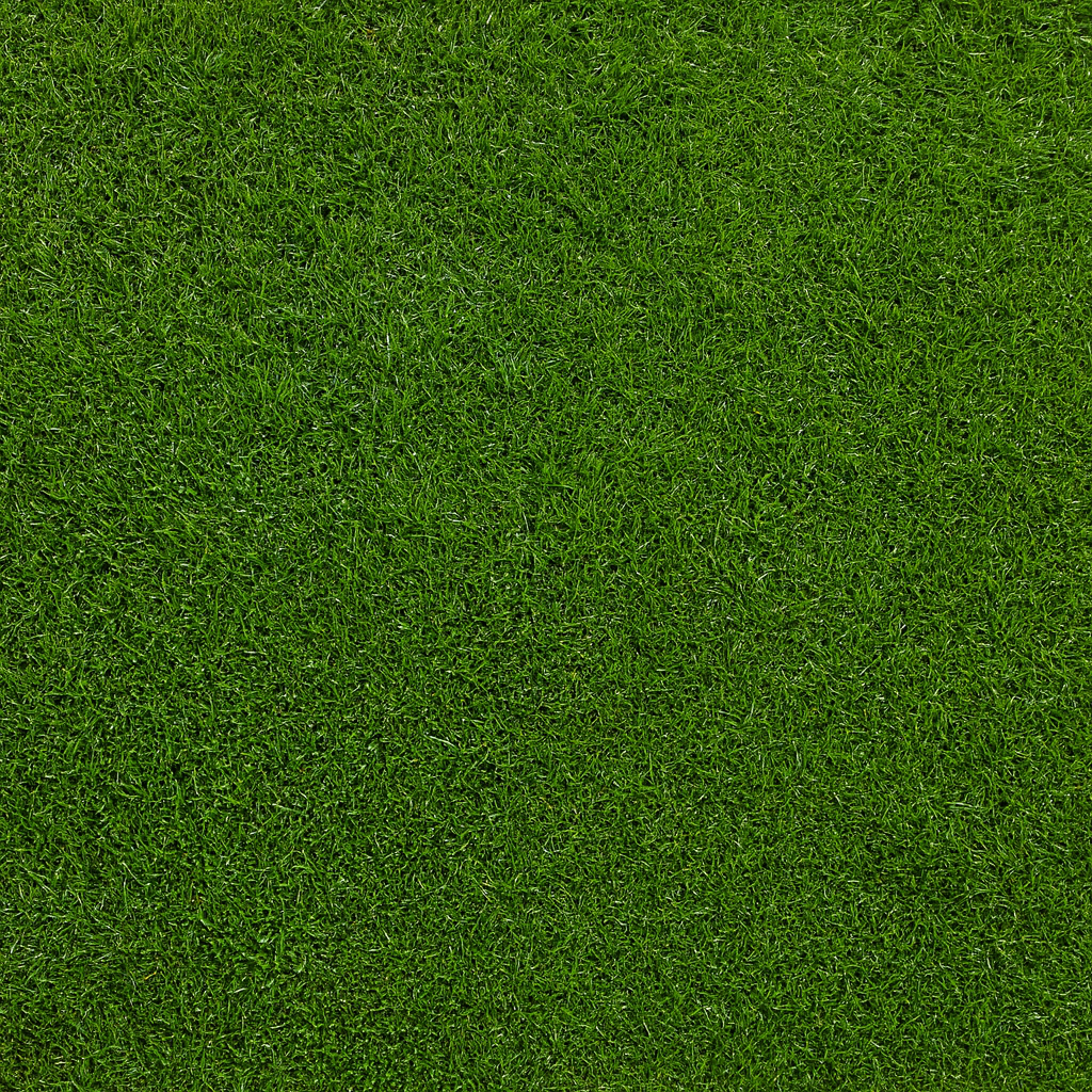 Lush green lawn